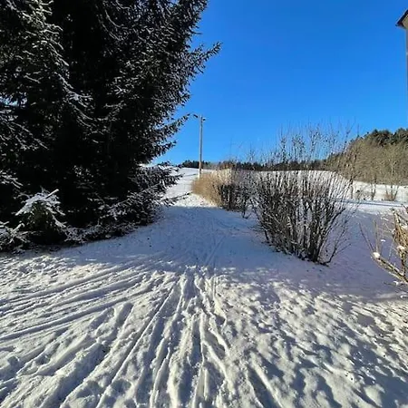Franzis Feriendomizil Im Herzgebirge Am Skihang דירה *