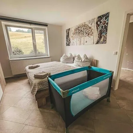 Franzis Feriendomizil Im Herzgebirge Am Skihang アパート *