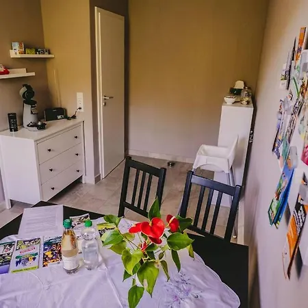 Franzis Feriendomizil Im Herzgebirge Am Skihang