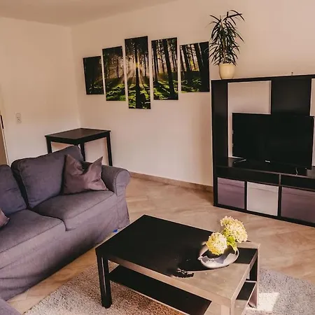 Franzis Feriendomizil Im Herzgebirge Am Skihang