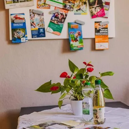 Franzis Feriendomizil Im Herzgebirge Am Skihang アパート *