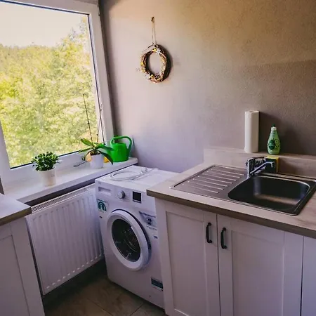 アパート Franzis Feriendomizil Im Herzgebirge Am Skihang *