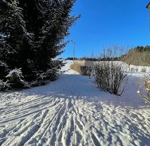 Franzis Feriendomizil Im Herzgebirge Am Skihang شقة *