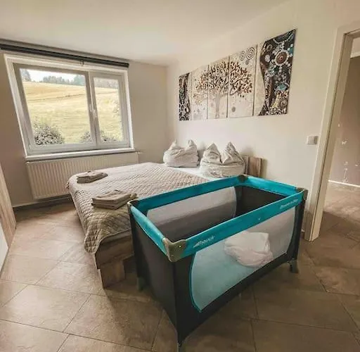 Franzis Feriendomizil Im Herzgebirge Am Skihang شقة *