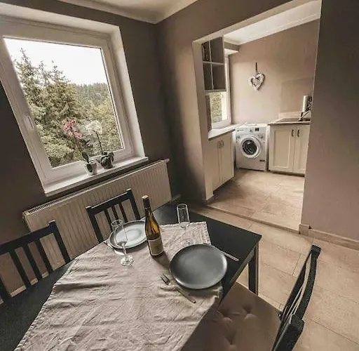 شقة Franzis Feriendomizil Im Herzgebirge Am Skihang Auerbach (Erzgebirgskreis)