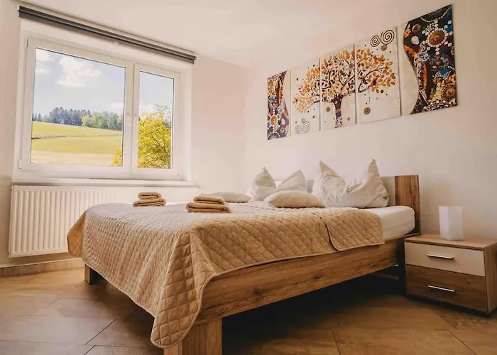 Franzis Feriendomizil Im Herzgebirge Am Skihang Auerbach (Erzgebirgskreis)