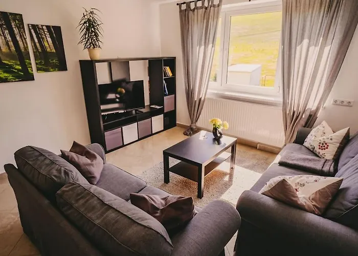 شقة Franzis Feriendomizil Im Herzgebirge Am Skihang *