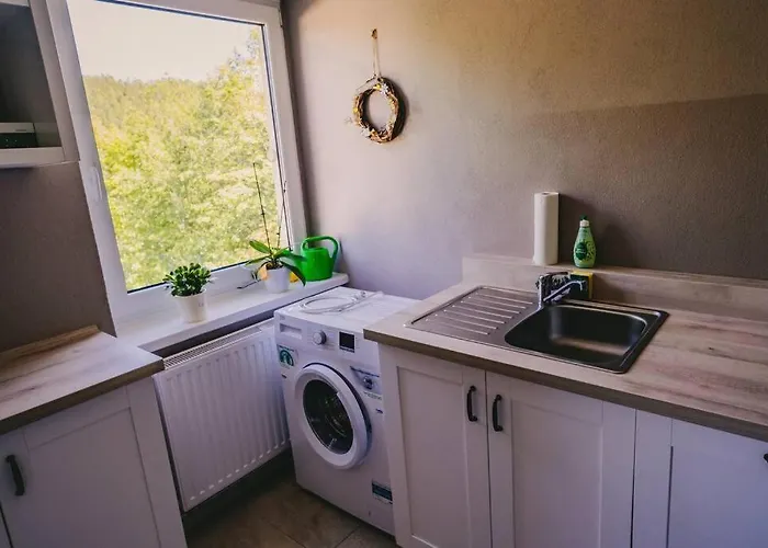 شقة Franzis Feriendomizil Im Herzgebirge Am Skihang *