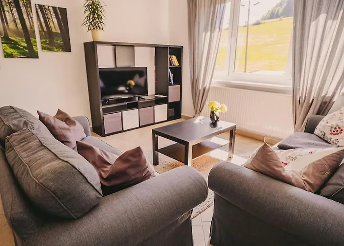 Franzis Feriendomizil Im Herzgebirge Am Skihang شقة