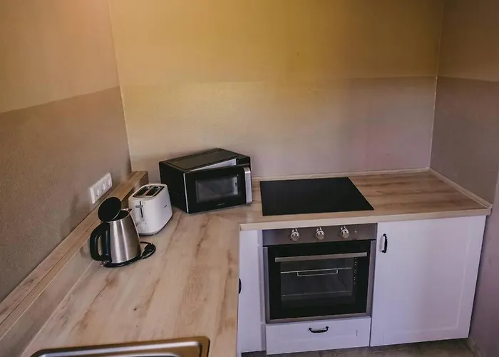 شقة Franzis Feriendomizil Im Herzgebirge Am Skihang Auerbach (Erzgebirgskreis)