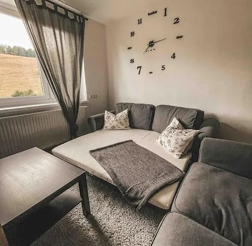 Franzis Feriendomizil Im Herzgebirge Am Skihang شقة *